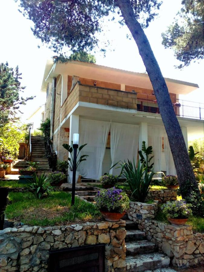 Wunderkammer B&B Pulsano Ngoại thất bức ảnh